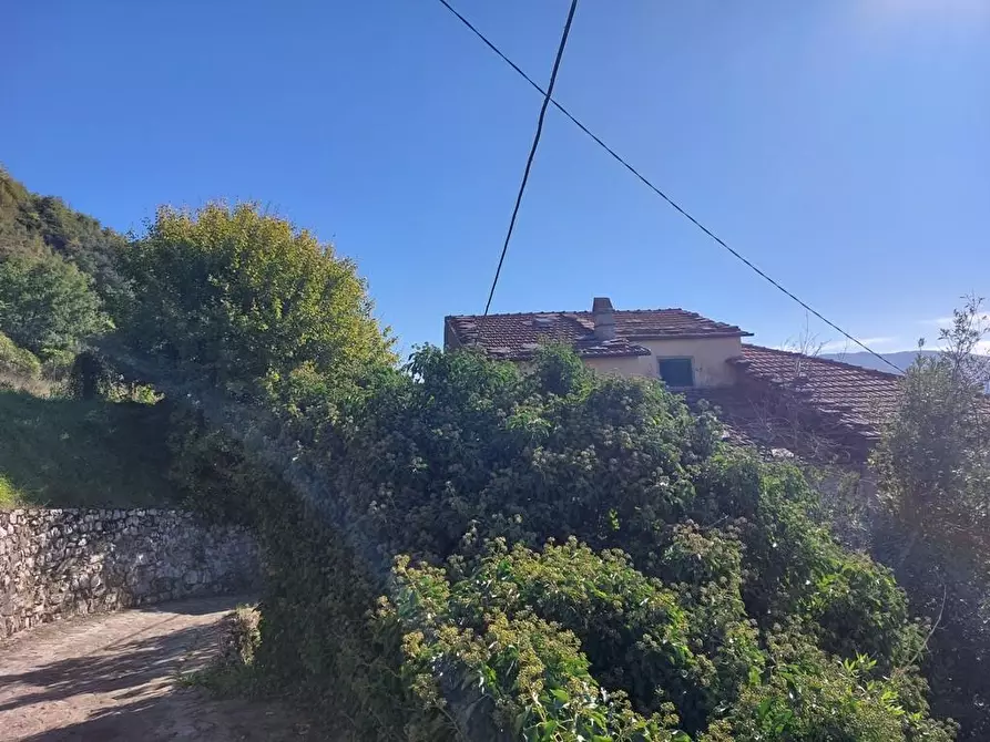 Immagine 15 di Terratetto in vendita  a Bagni Di Lucca