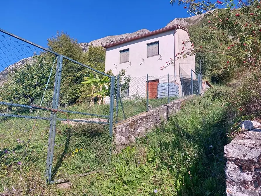 Immagine 18 di Terratetto in vendita  a Bagni Di Lucca