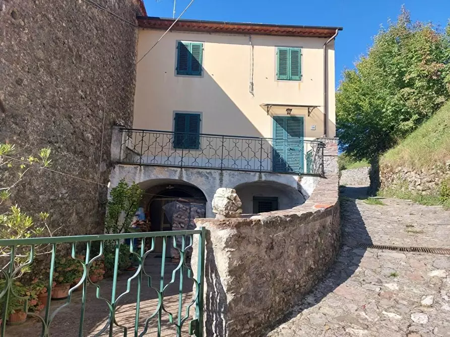 Immagine 1 di Casa colonica in vendita  a Bagni Di Lucca