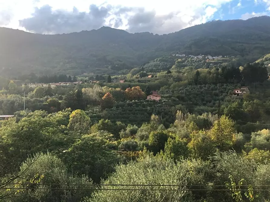 Immagine 10 di Terratetto in vendita  a Borgo A Mozzano