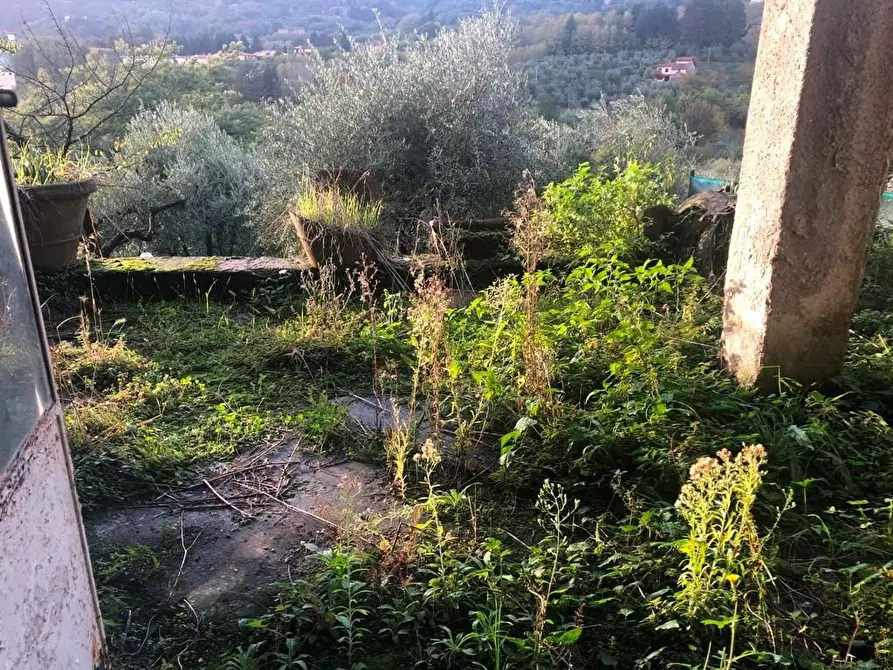 Immagine 14 di Terratetto in vendita  a Borgo A Mozzano