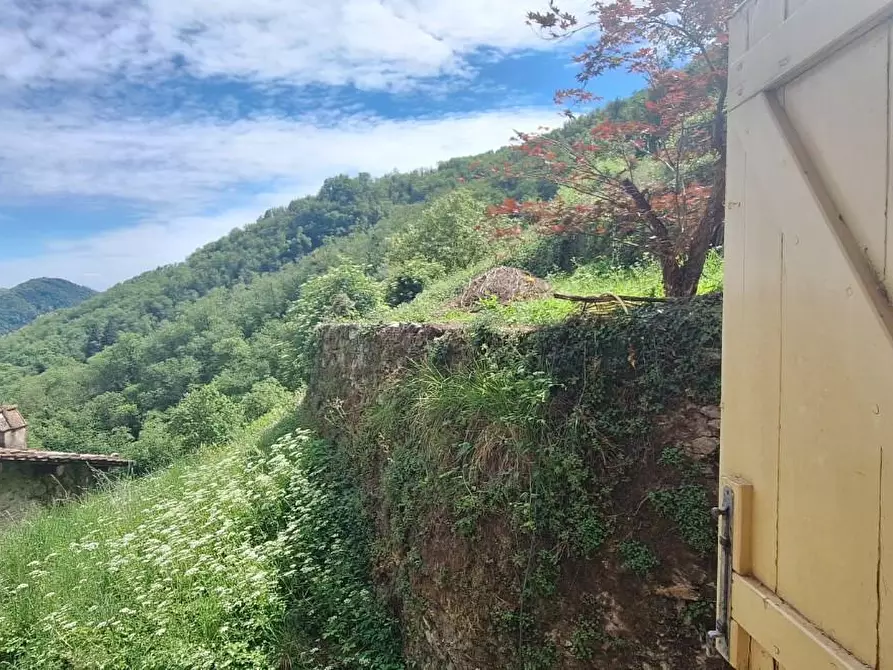 Immagine 18 di Terratetto in vendita  a Pescaglia