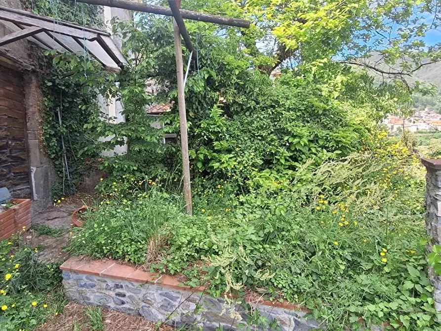 Immagine 3 di Terratetto in vendita  a Pescaglia