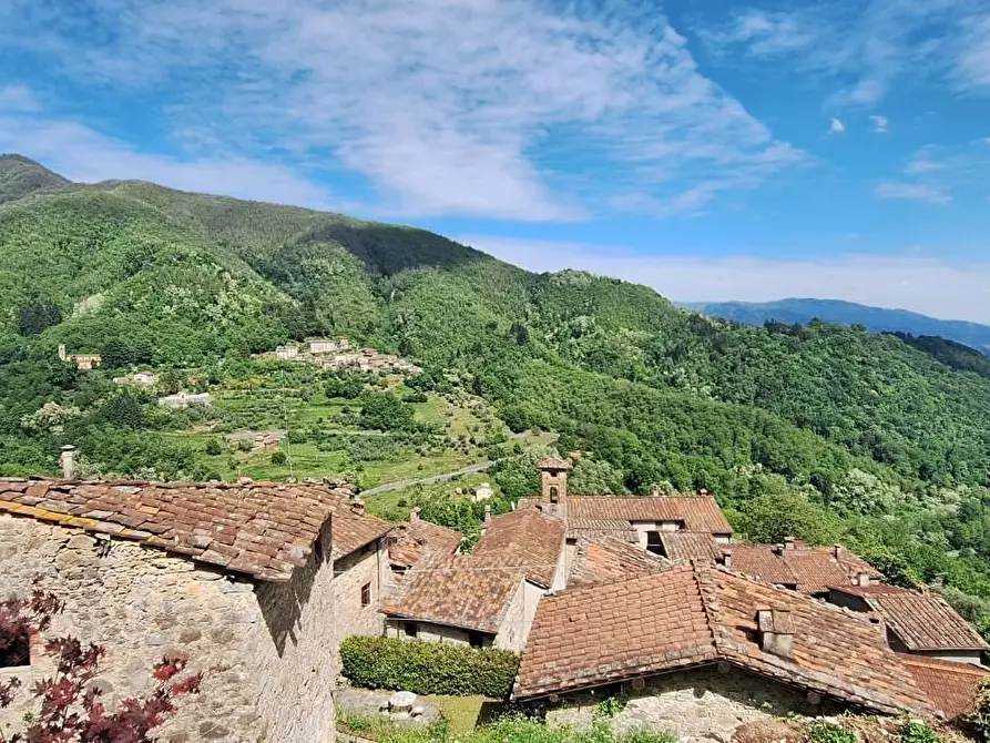 Immagine 9 di Terratetto in vendita  a Pescaglia