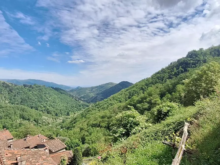 Immagine 10 di Terratetto in vendita  a Pescaglia