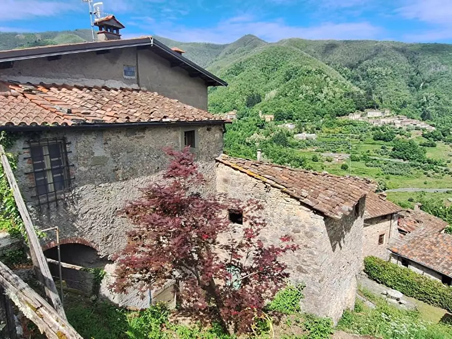 Immagine 11 di Terratetto in vendita  a Pescaglia