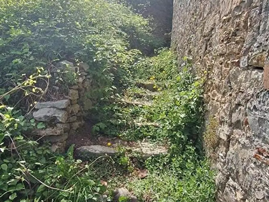 Immagine 7 di Terratetto in vendita  a Pescaglia