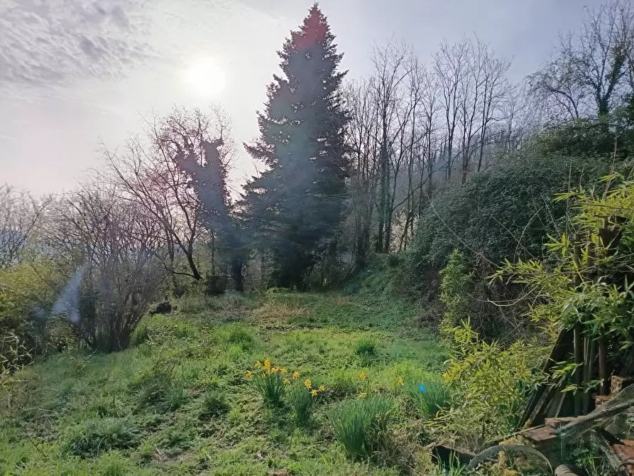 Immagine 22 di Casa semindipendente in vendita  a Gallicano