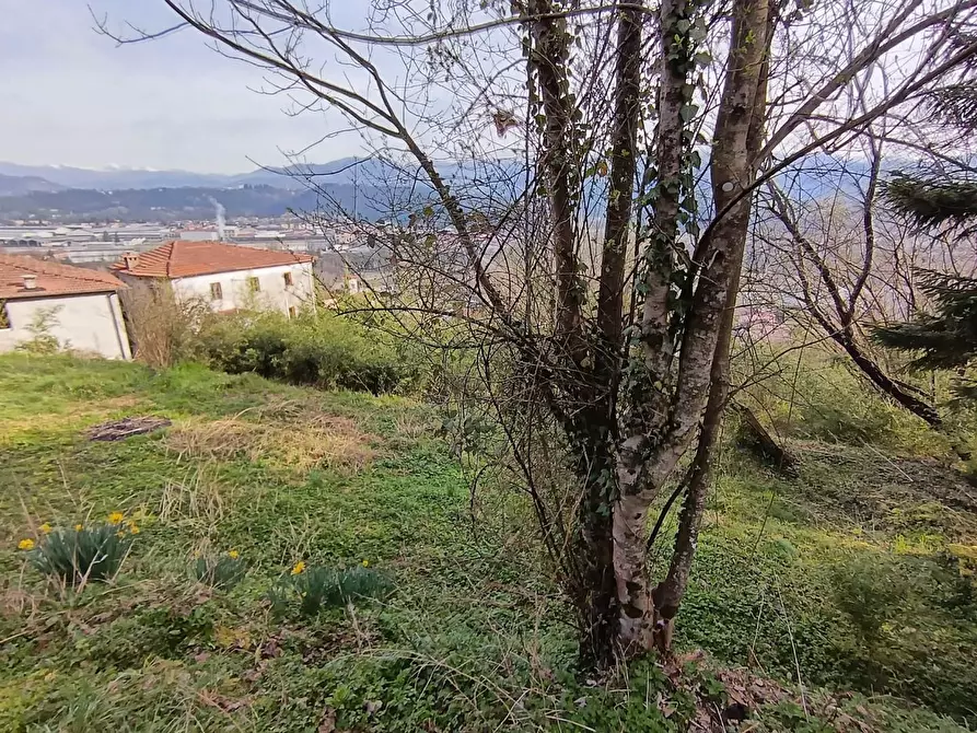 Immagine 14 di Casa semindipendente in vendita  a Gallicano