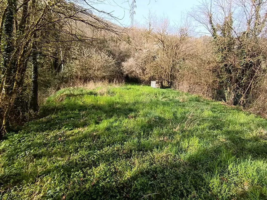 Immagine 17 di Casa semindipendente in vendita  a Gallicano
