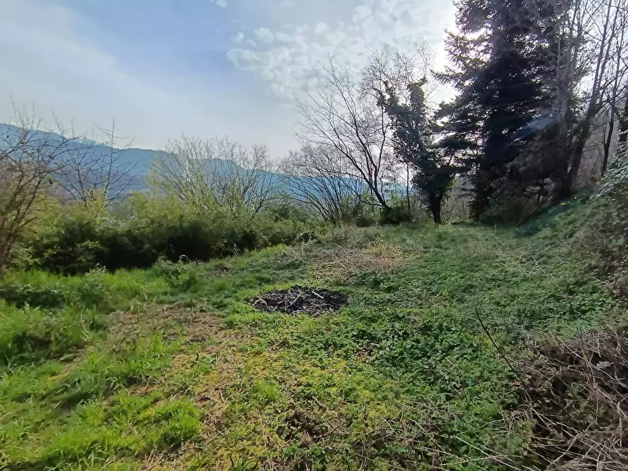 Immagine 21 di Casa semindipendente in vendita  a Gallicano