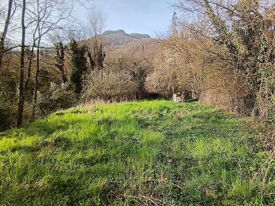 Immagine 19 di Casa semindipendente in vendita  a Gallicano