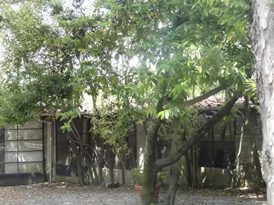 Immagine 23 di Villa in vendita  a Bagni Di Lucca