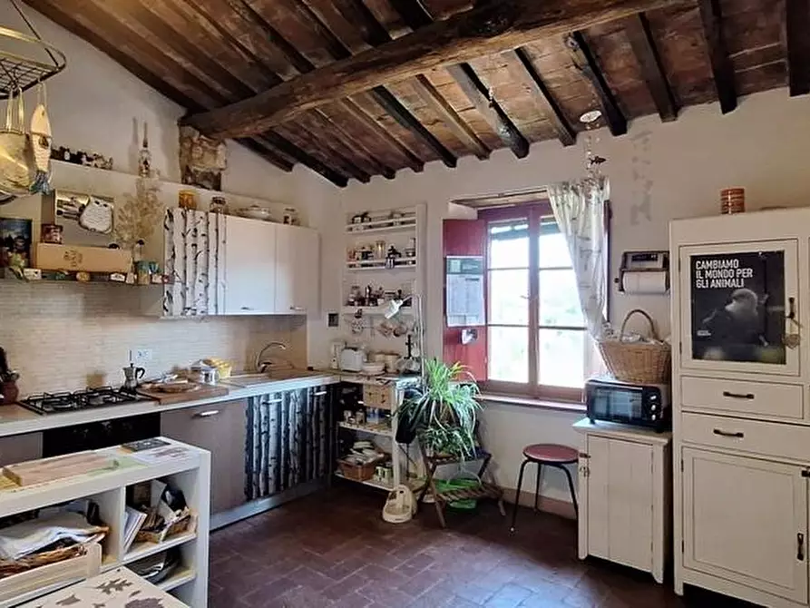 Immagine 9 di Terratetto in vendita  a Borgo A Mozzano