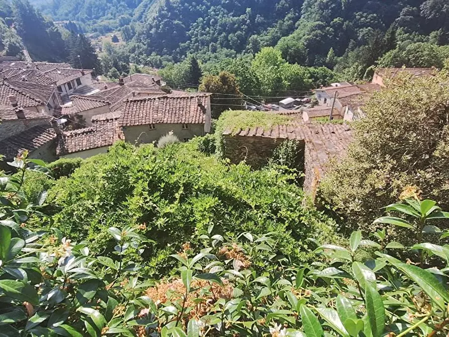 Immagine 5 di Terratetto in vendita  a Pescaglia
