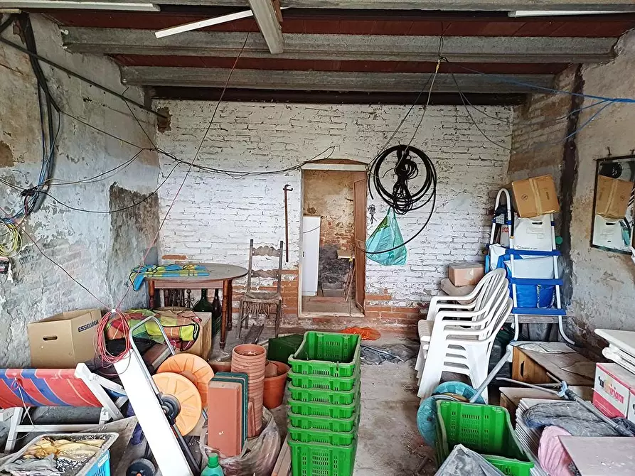 Immagine 12 di Rustico / casale in vendita  a Palaia