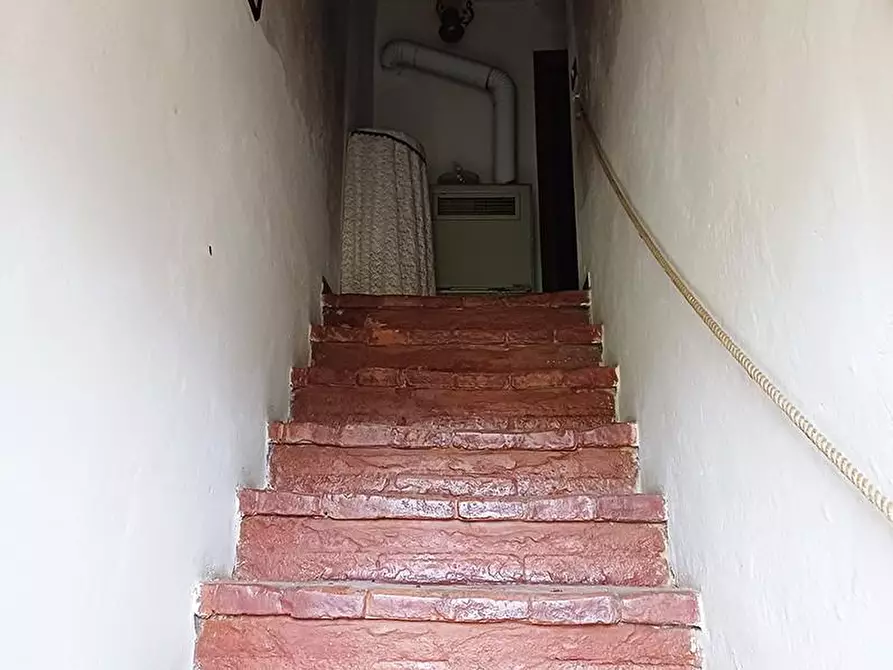 Immagine 5 di Rustico / casale in vendita  a Palaia