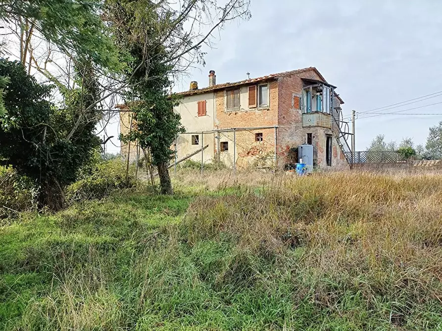 Immagine 1 di Rustico / casale in vendita  a Palaia