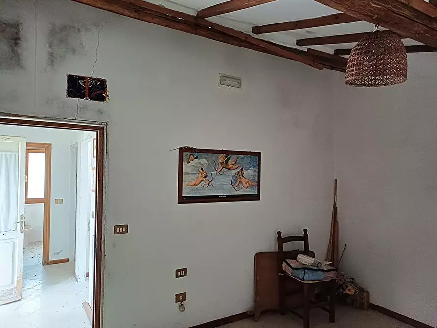 Immagine 9 di Rustico / casale in vendita  a Palaia