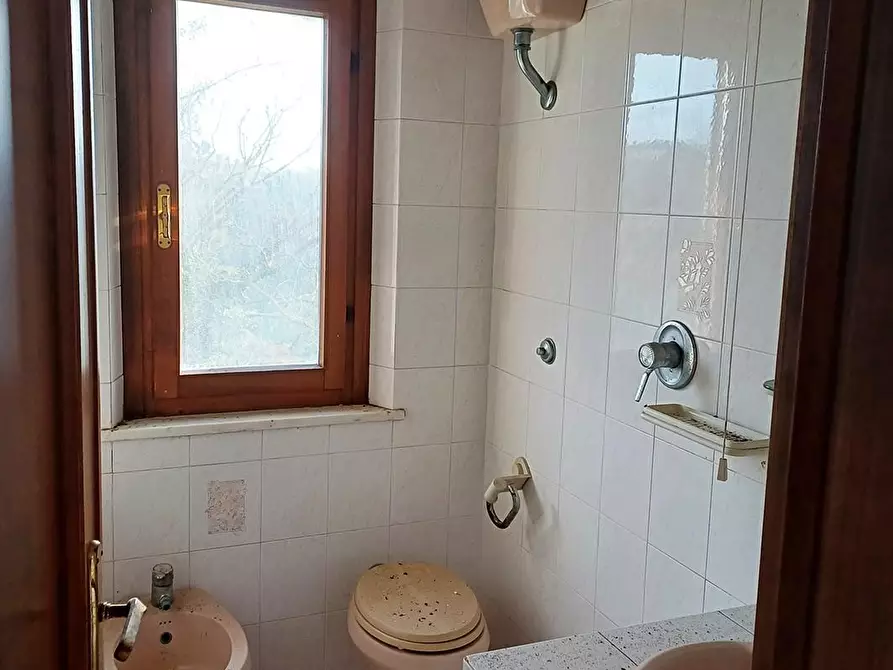 Immagine 11 di Rustico / casale in vendita  a Palaia