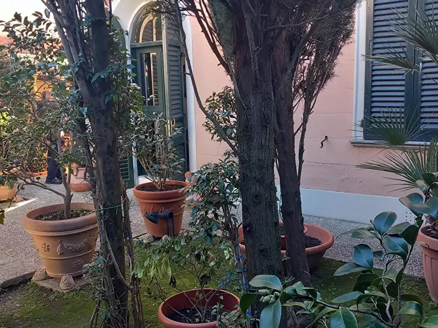 Immagine 2 di Villa in vendita  a Pisa