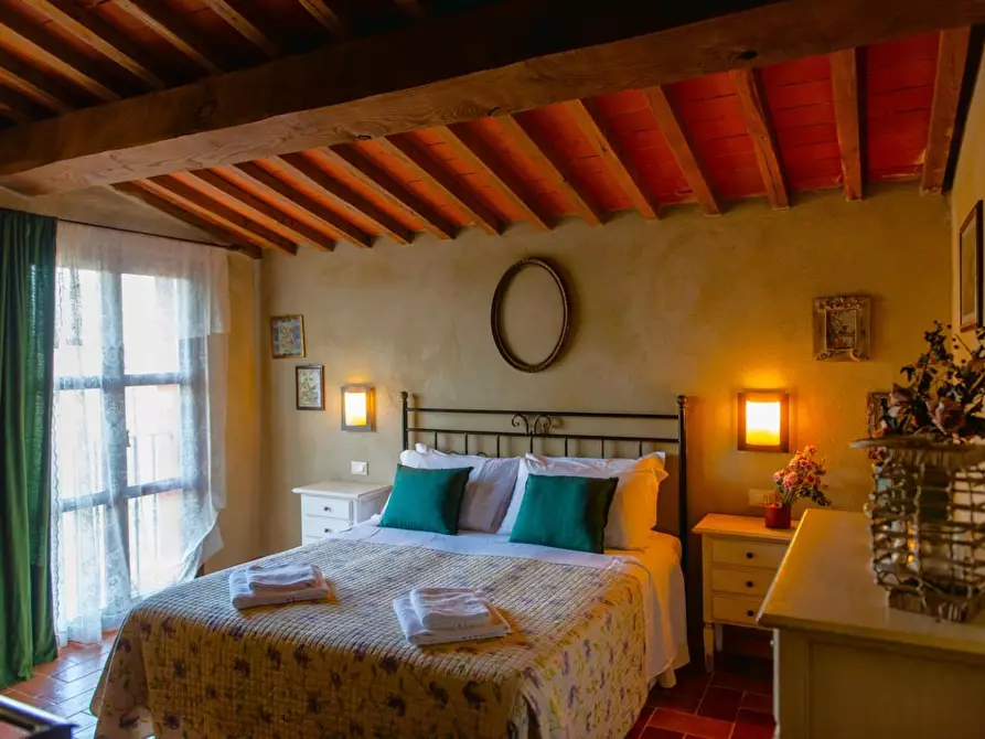 Immagine 5 di Casa colonica in vendita  a Casciana Terme Lari