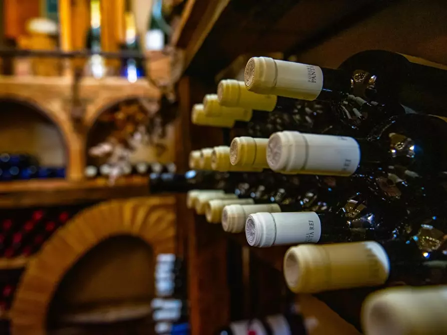 Immagine 24 di Casa colonica in vendita  a Casciana Terme Lari