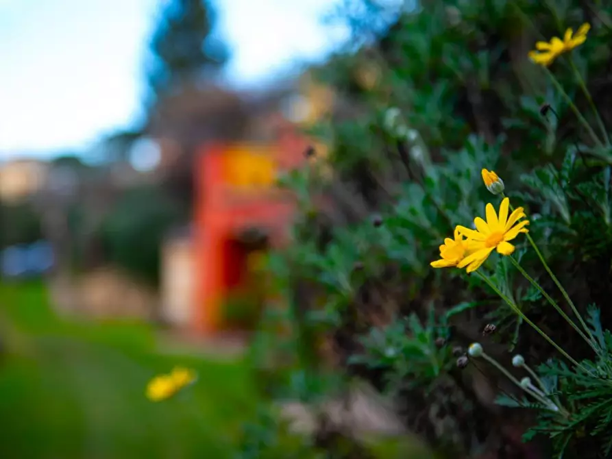 Immagine 15 di Casa colonica in vendita  a Casciana Terme Lari