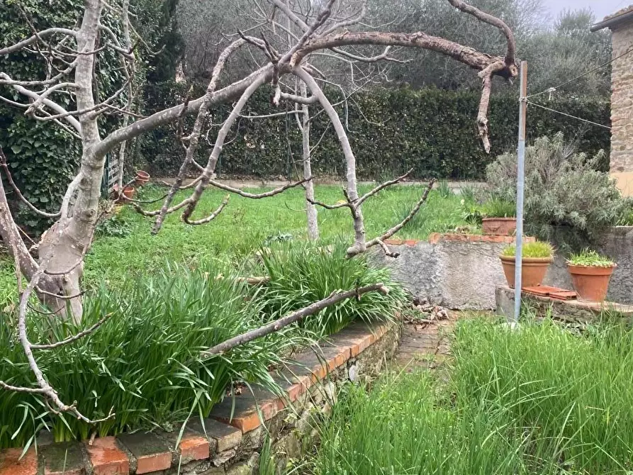 Immagine 16 di Casa colonica in vendita  a Carmignano