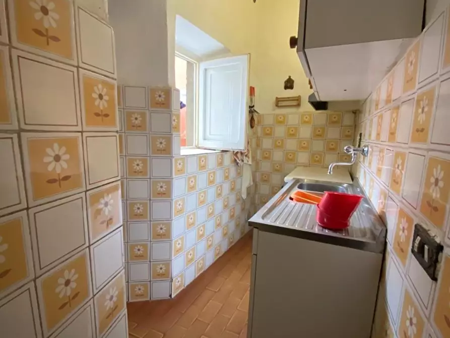 Immagine 4 di Casa colonica in vendita  a Carmignano