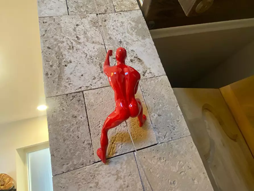 Immagine 35 di Casa bifamiliare in vendita  a Cascina