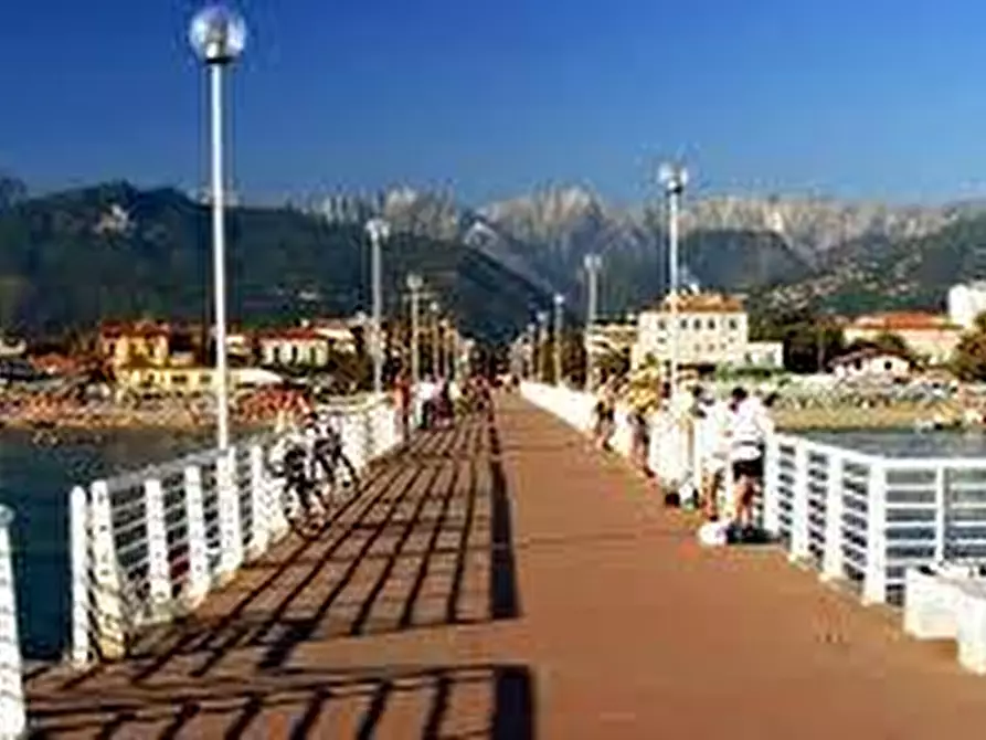 Immagine 11 di Terreno industriale in vendita  a Massa