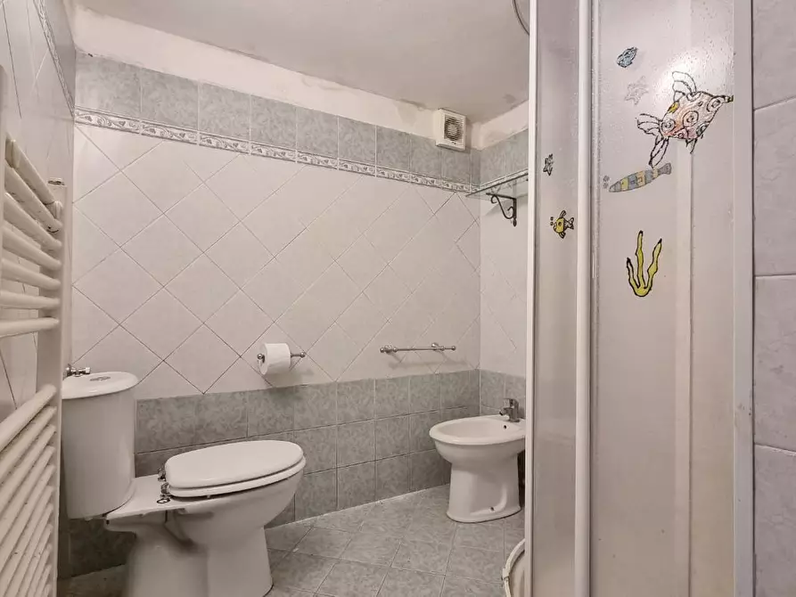 Immagine 51 di Villa in vendita  a Collesalvetti