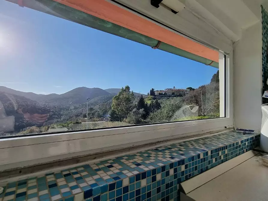 Immagine 20 di Villa in vendita  a Collesalvetti