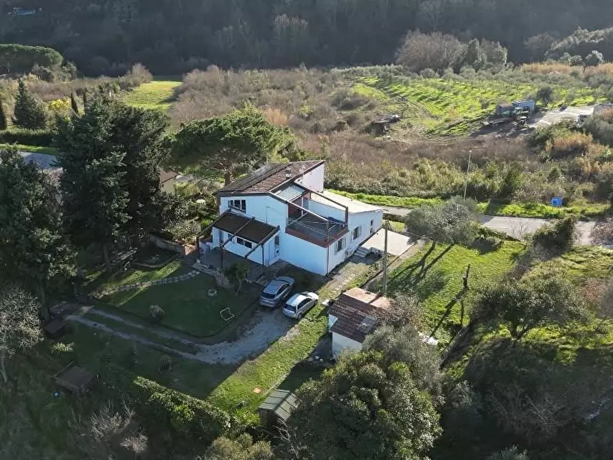 Immagine 2 di Villa in vendita  a Collesalvetti