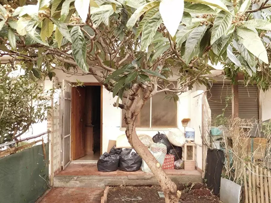 Immagine 3 di Appartamento in vendita  a San Giuliano Terme