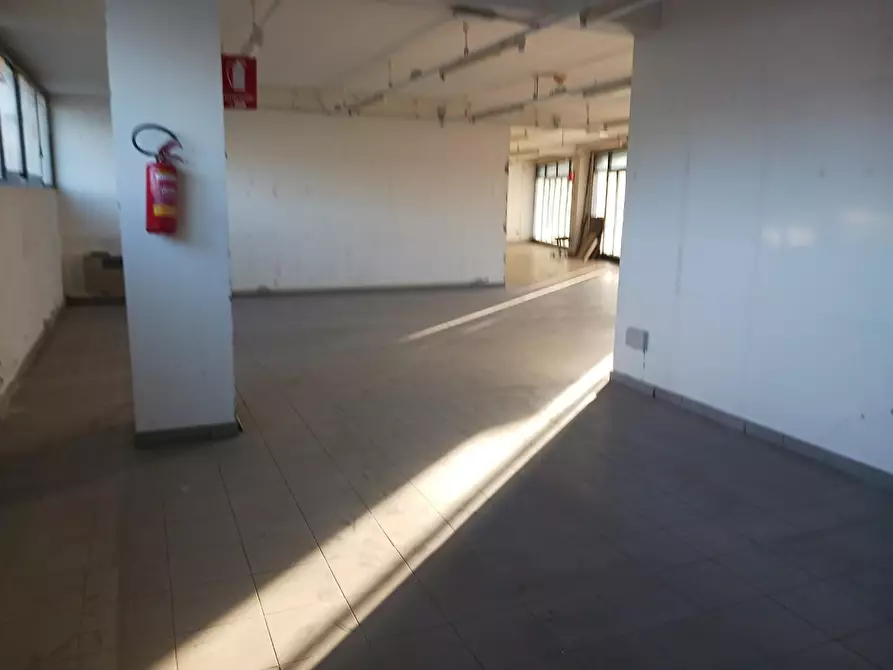 Immagine 9 di Capannone industriale in vendita  a Pontedera