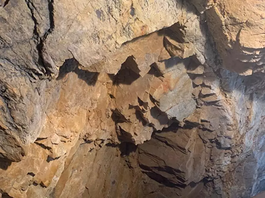 Immagine 6 di Garage in vendita  a Capannori