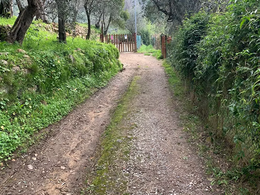 Immagine 22 di Terratetto in vendita  a Calci