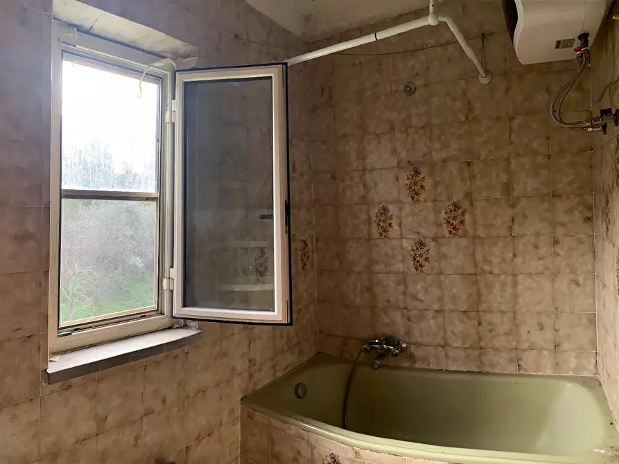 Immagine 7 di Terratetto in vendita  a Calci