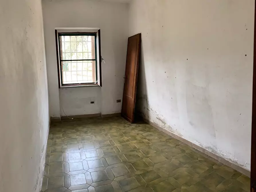 Immagine 9 di Terratetto in vendita  a Calci