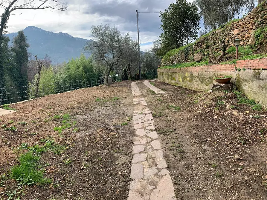 Immagine 16 di Terratetto in vendita  a Calci