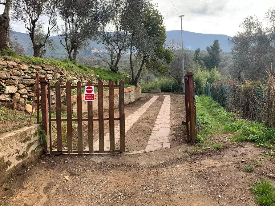 Immagine 20 di Terratetto in vendita  a Calci