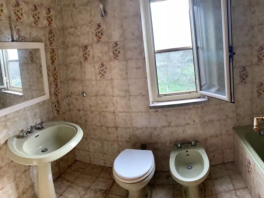 Immagine 6 di Terratetto in vendita  a Calci