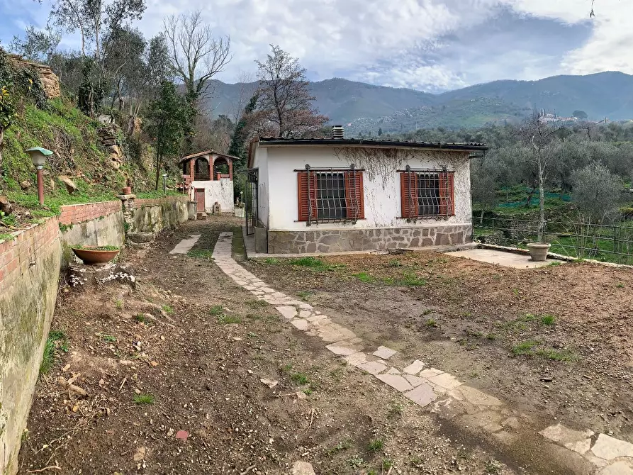 Immagine 18 di Terratetto in vendita  a Calci