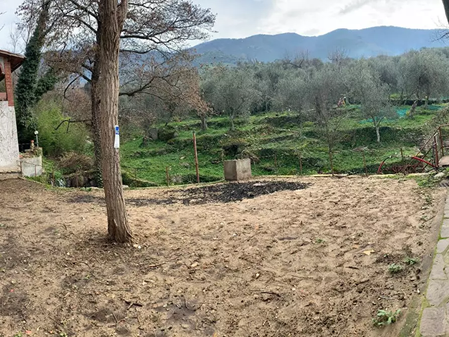 Immagine 13 di Terratetto in vendita  a Calci