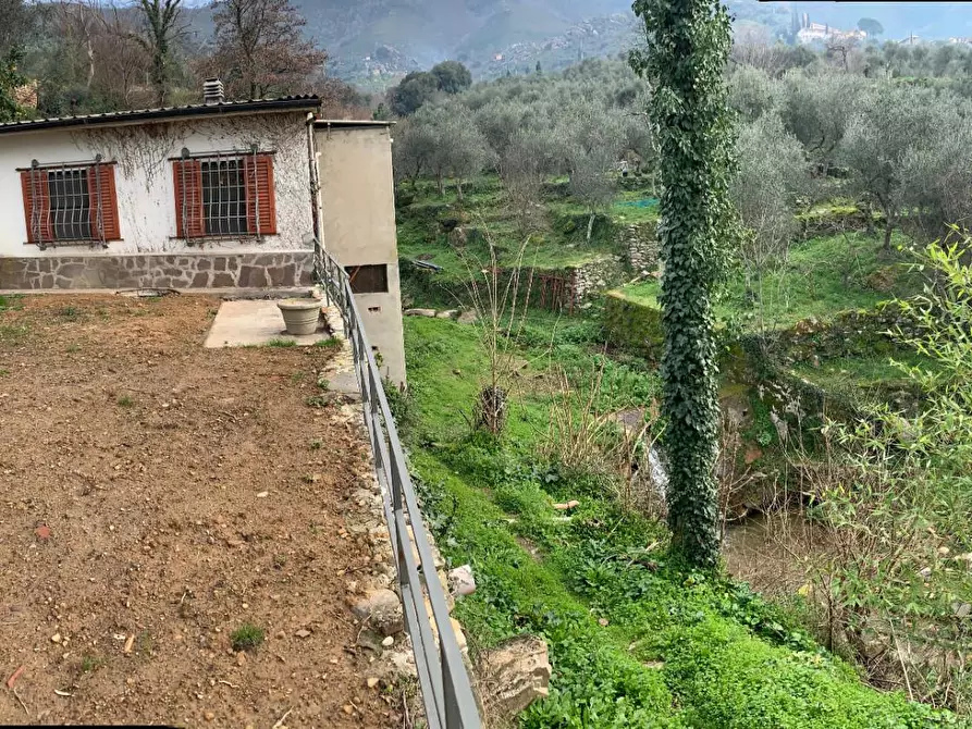 Immagine 19 di Terratetto in vendita  a Calci