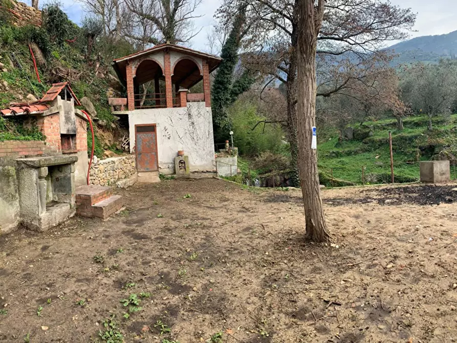 Immagine 12 di Terratetto in vendita  a Calci