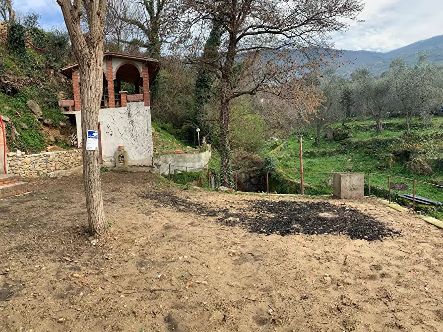 Immagine 11 di Terratetto in vendita  a Calci