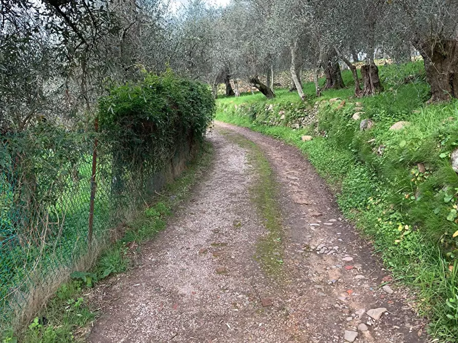 Immagine 21 di Terratetto in vendita  a Calci